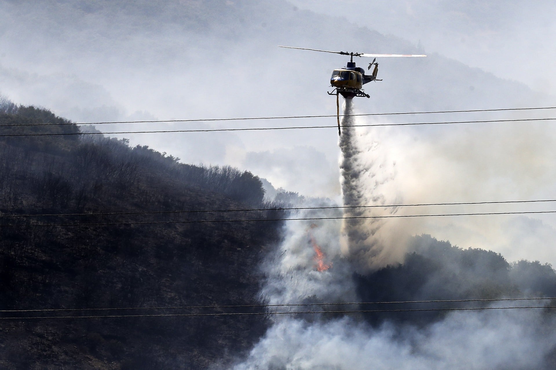 Φωτιά στη Φωκίδα: Συνεχίζεται η μάχη με τις φλόγες – Αναφορές για ζημιές σε σπίτια